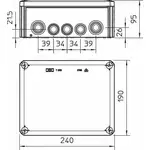 Image 6