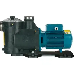 Swimming pool pumps